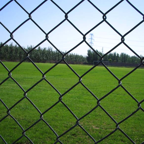 勾花鐵絲網(wǎng)圍欄的用途圖片1 勾花鐵絲網(wǎng)圍欄的用途圖片1