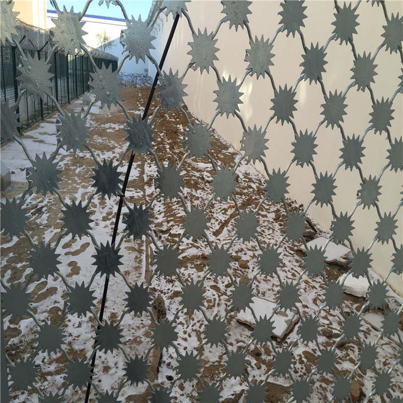 梅花刺片隔離網(wǎng)圖片1 梅花刺片隔離網(wǎng)圖片1