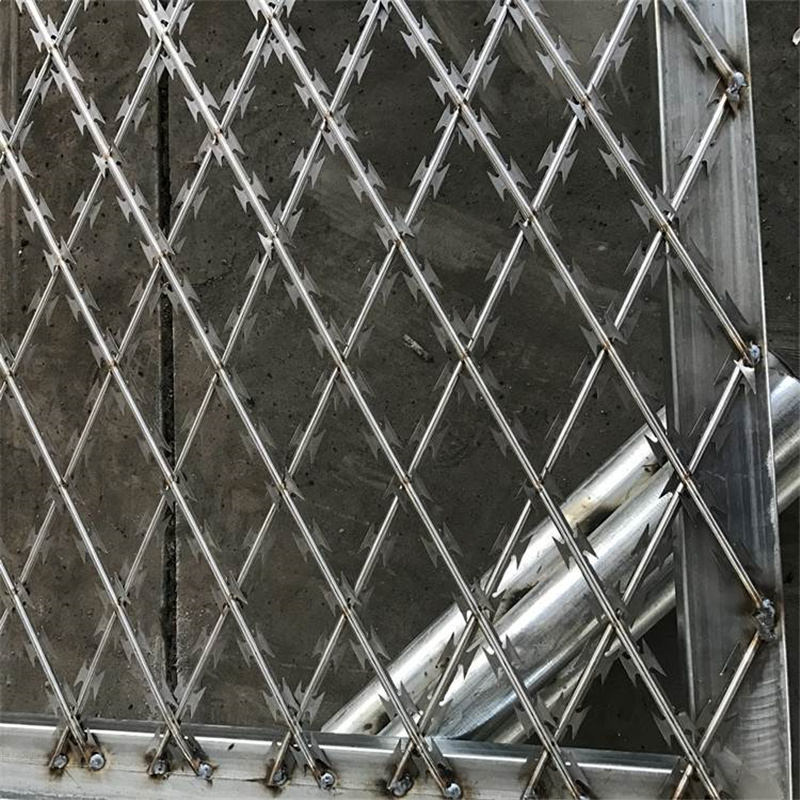 菱形焊接刀片刺網(wǎng)圖片2 菱形焊接刀片刺網(wǎng)圖片2