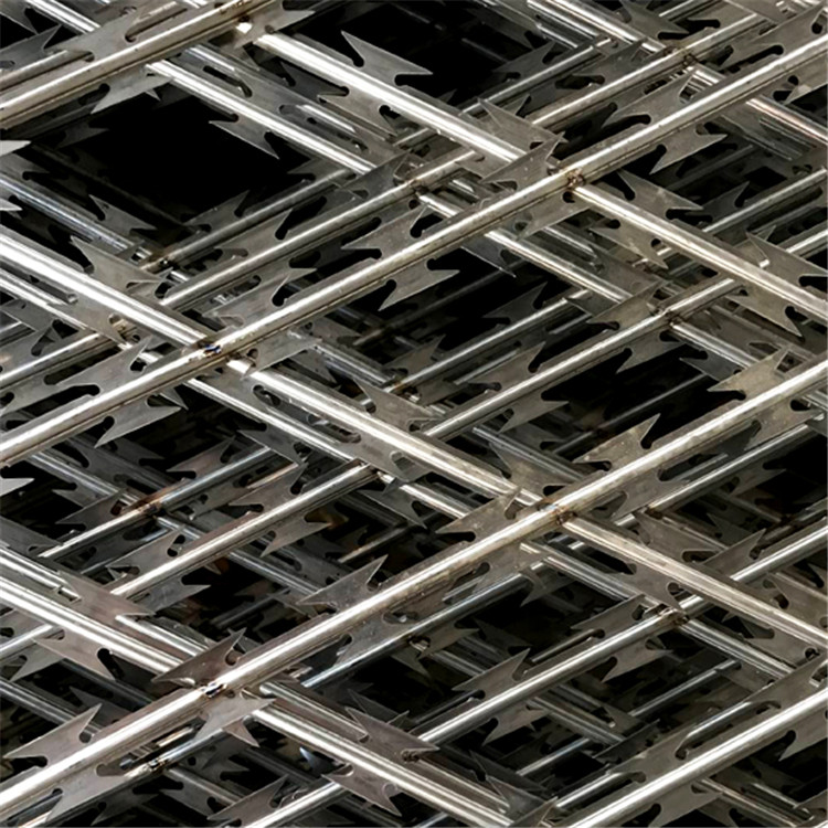 監(jiān)獄刀片鋼網(wǎng)墻圖片3 監(jiān)獄刀片鋼網(wǎng)墻圖片3