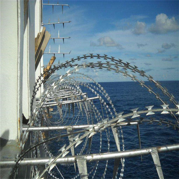 刀片刺網(wǎng)圖片1 刀片刺網(wǎng)圖片1