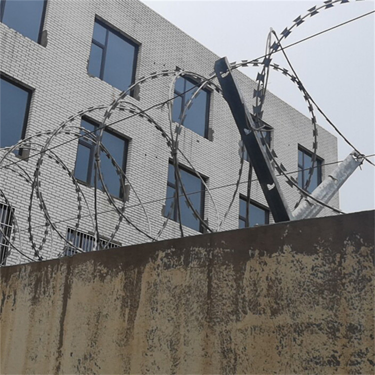 刀片刺網(wǎng)圖片3 刀片刺網(wǎng)圖片3