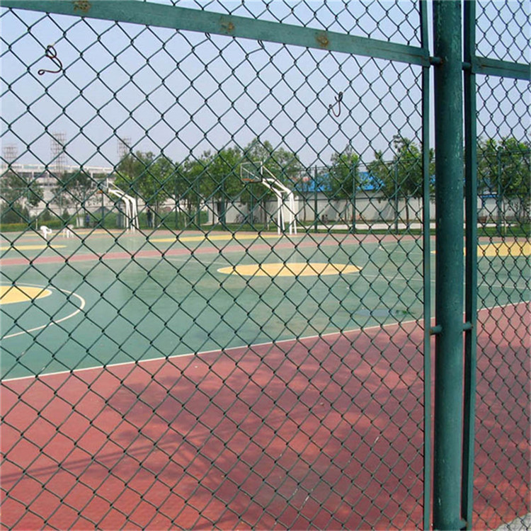 羽毛球場(chǎng)圍網(wǎng)圖片2 羽毛球場(chǎng)圍網(wǎng)圖片2
