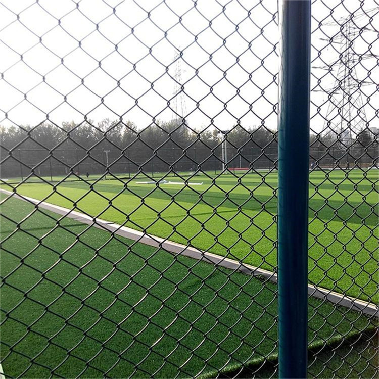 籃球場勾花圍網(wǎng)圖片3 籃球場勾花圍網(wǎng)圖片3