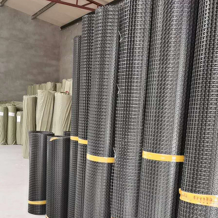 聚乙烯土工格柵圖片4 聚乙烯土工格柵圖片4